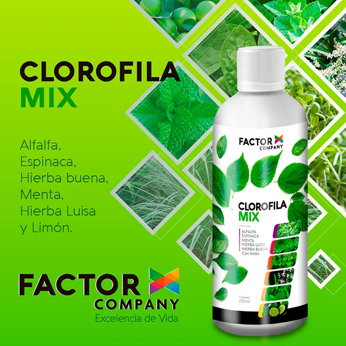 Publicación 10 de factorxcompany