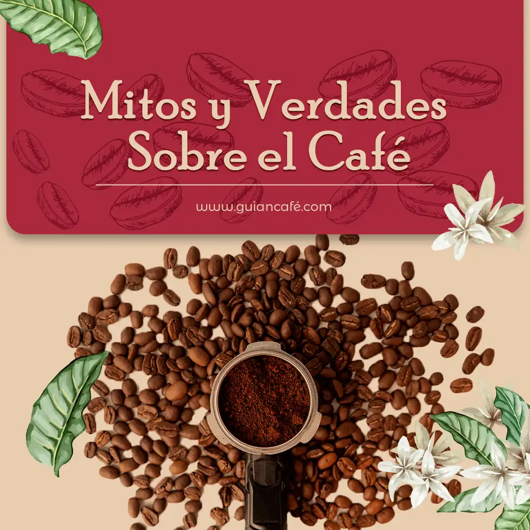 Publicación 6 de guiancafequindio