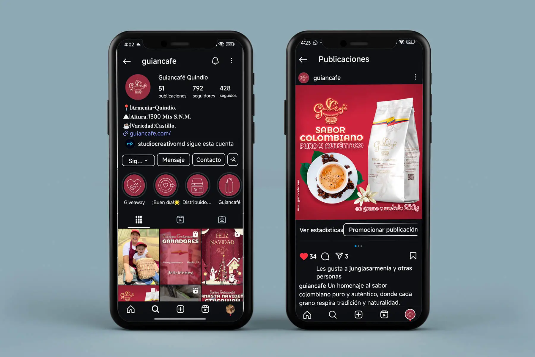Mockup perfil Instagram + vista de publicaciÃ³n
